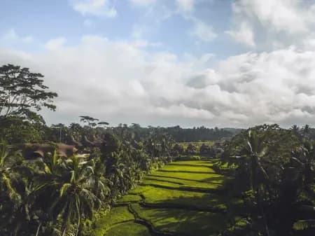 Equipoise Resort & Spa Ubud Managed by Ini VIE Hospitality - 2