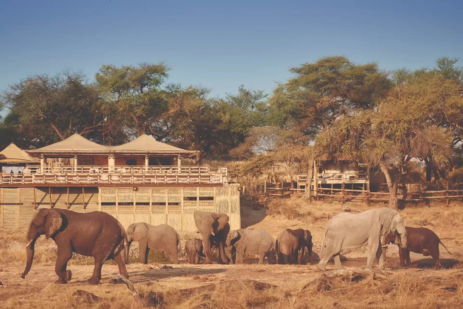 Savute Elephant Lodge, A Belmond Safari, Botswana — 7