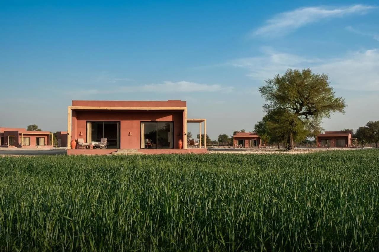 Mharo Khet — 8