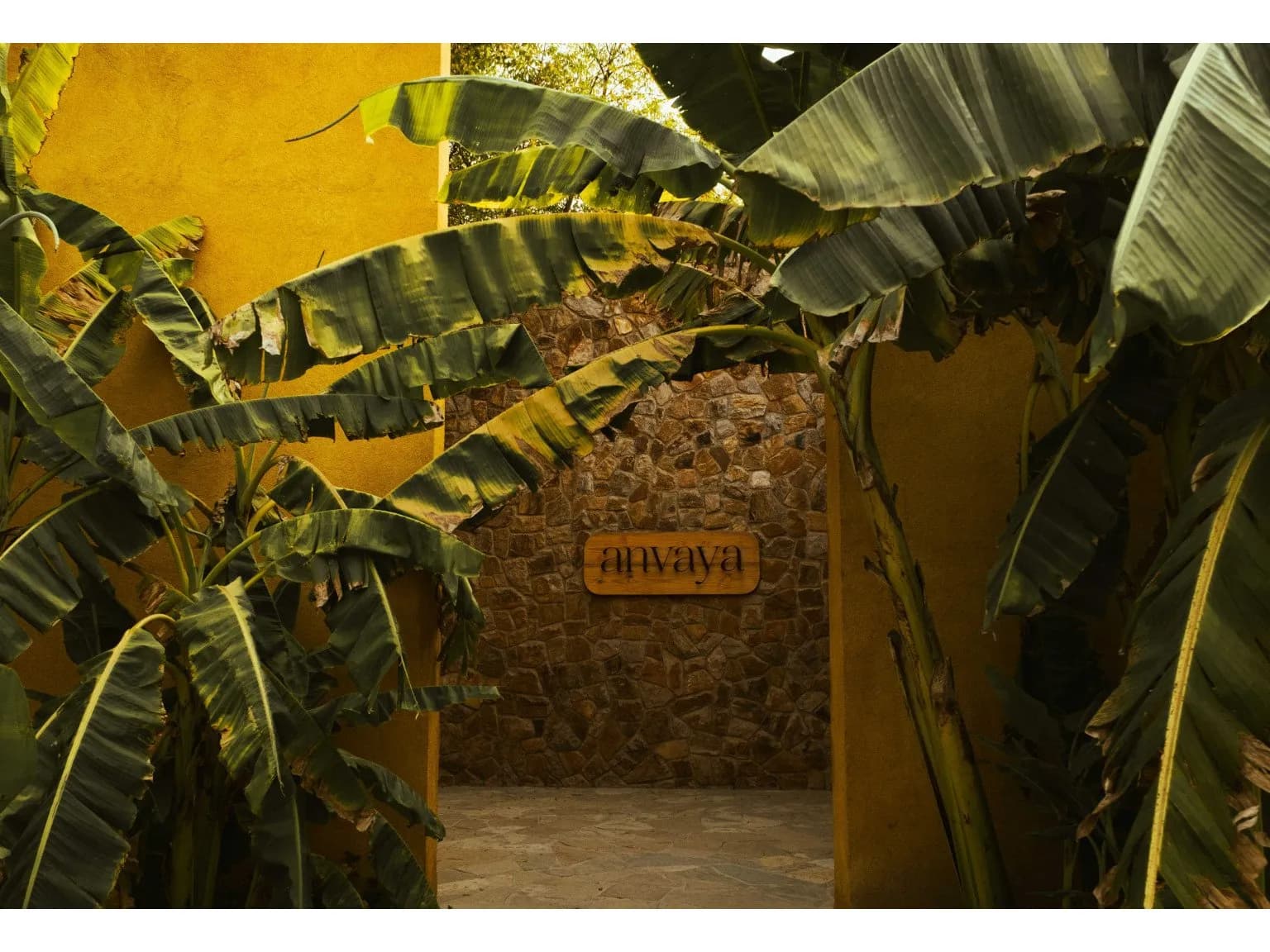 Anvaya - 2