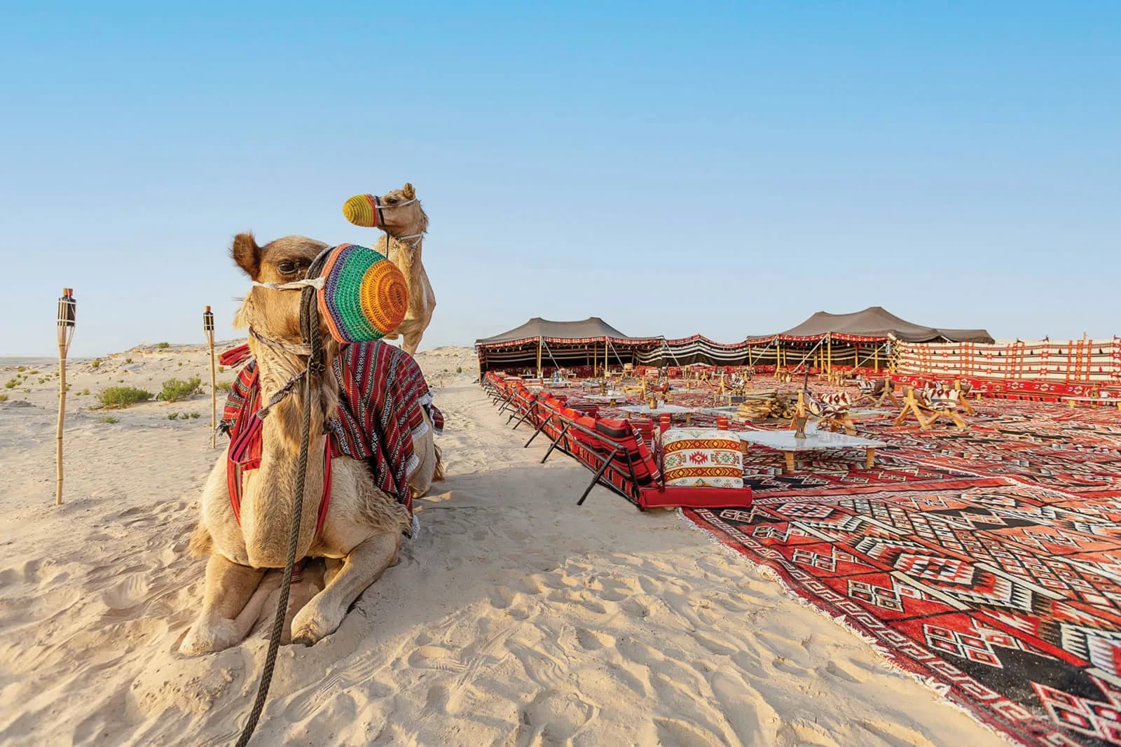 Al Wathba, a Luxury Collection Desert Resort & Spa, Abu Dhabi - 4