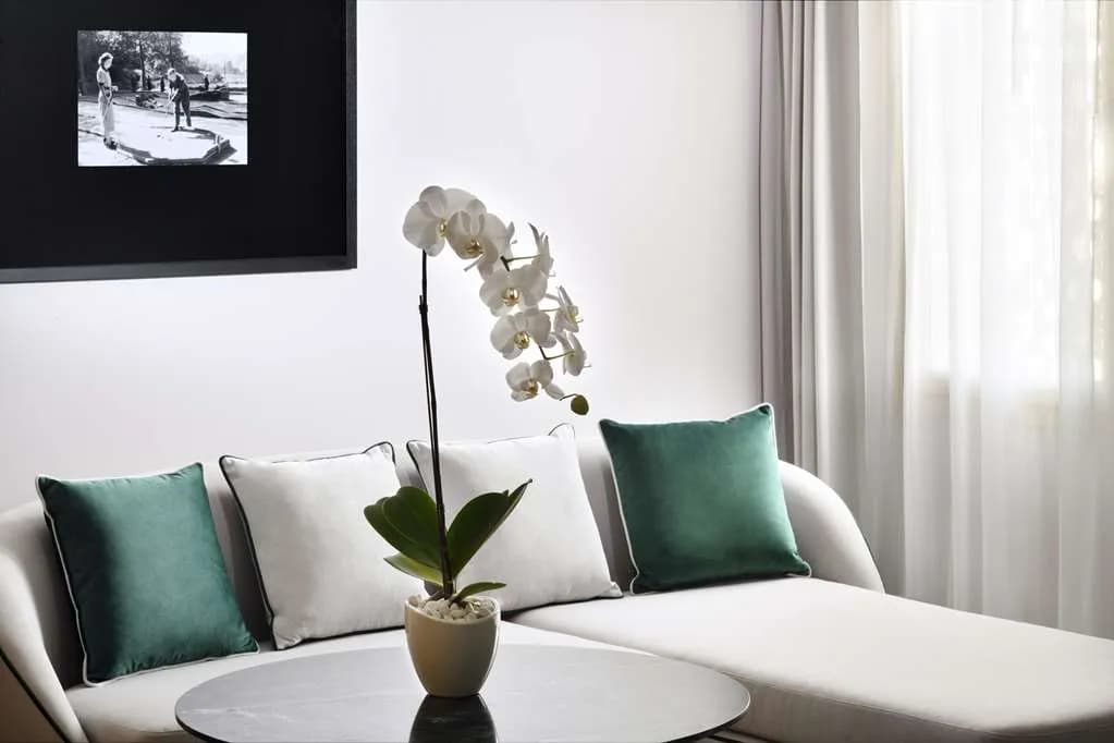 Address Montgomerie - 4