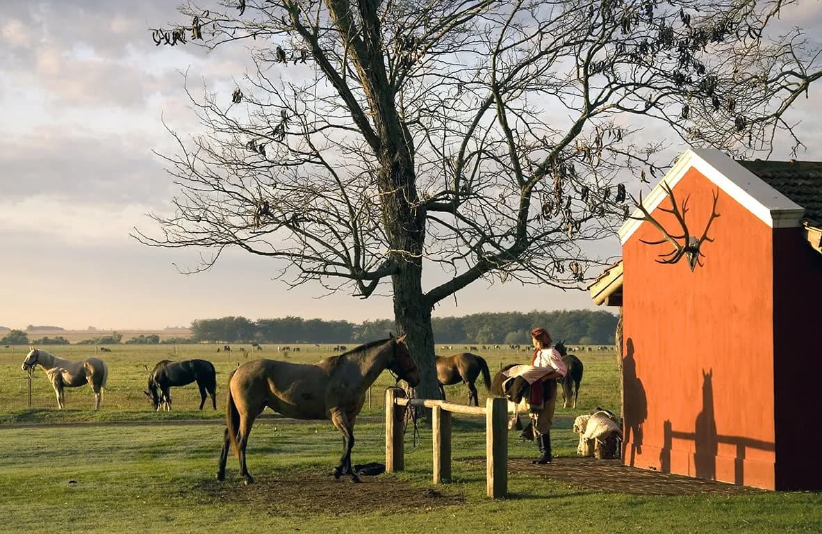 Estancia La Bamba de Areco - 2