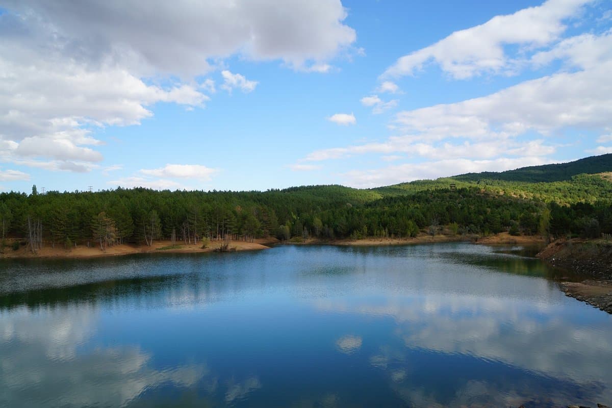 Yozgat Pine Grove National Park
