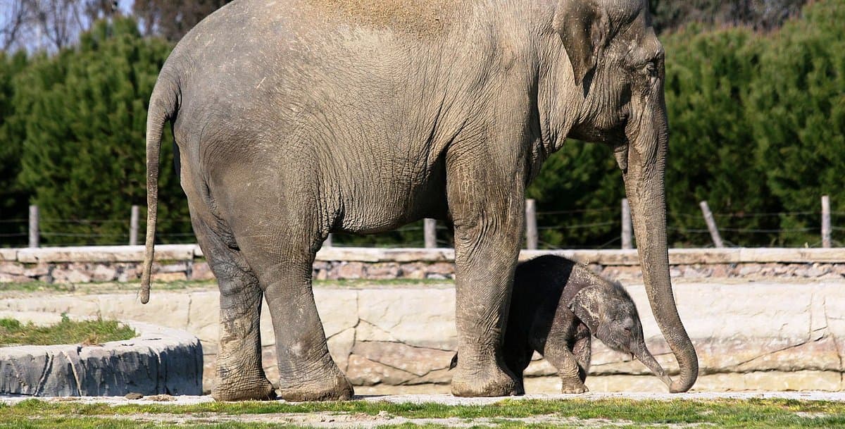Izmir Wildlife Park