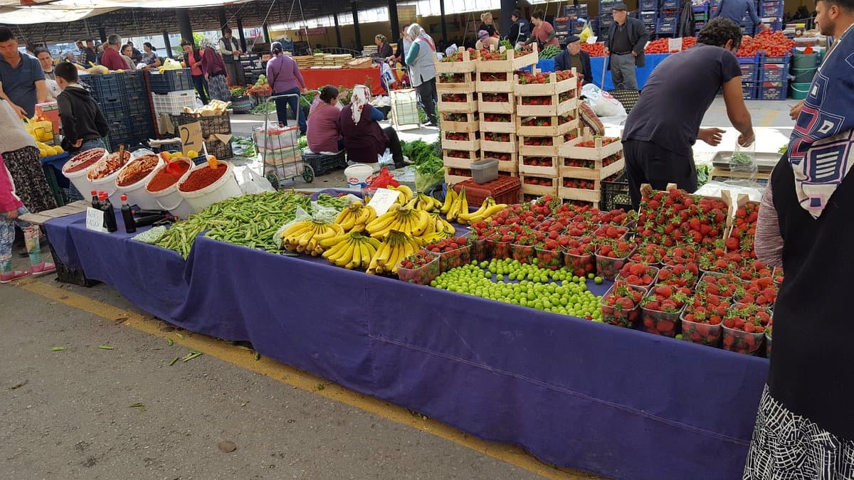 Milas Tuesday Market