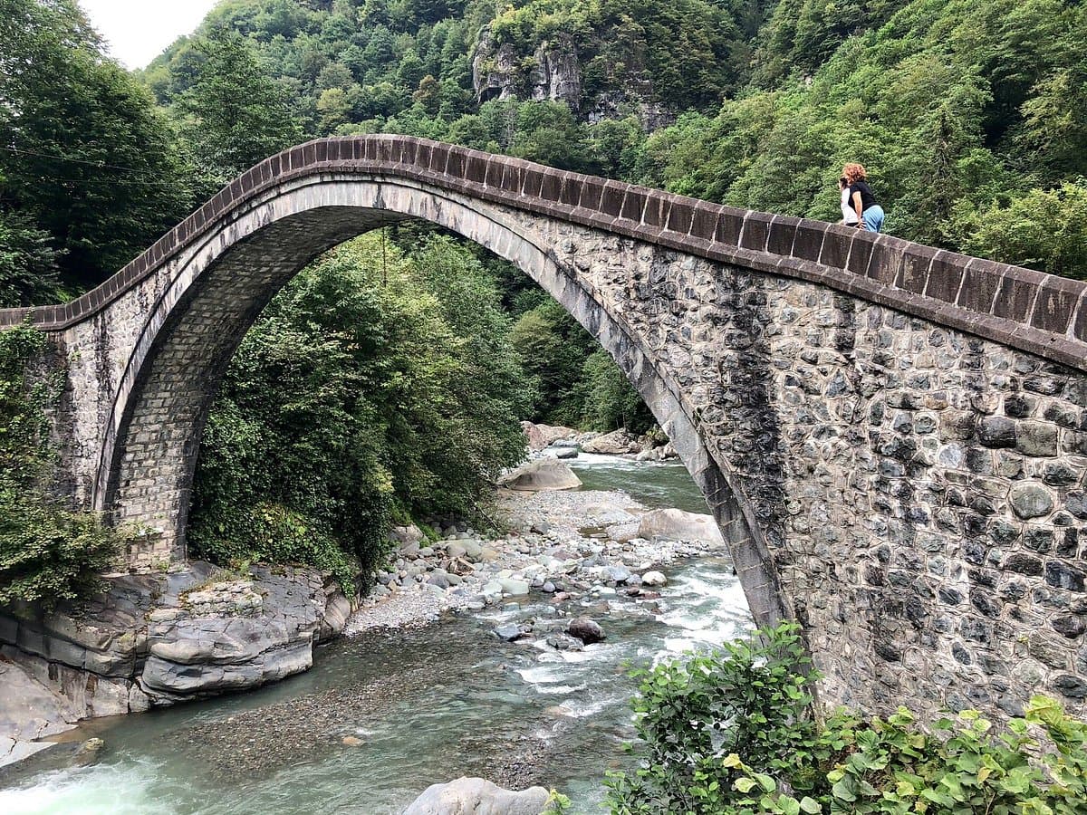 Twin Bridge