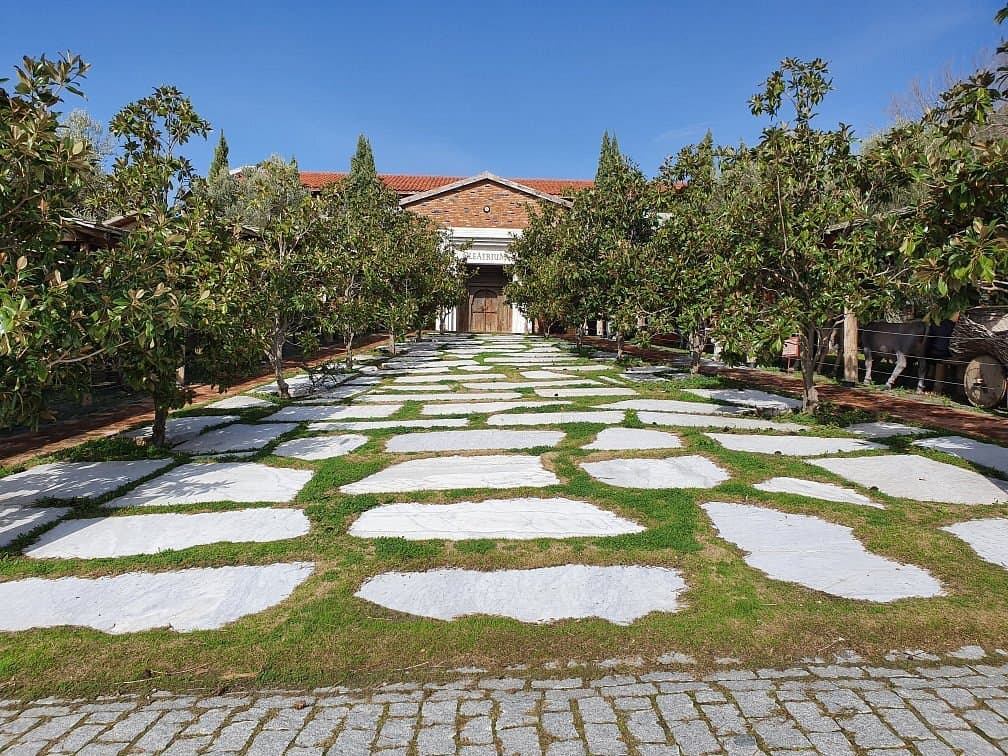Oleatrium Olive Oil Museum