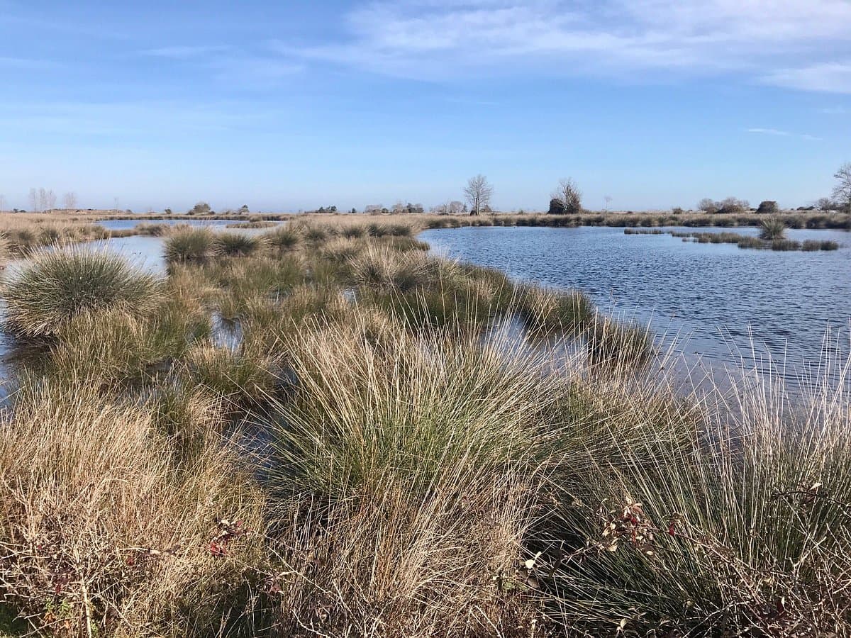Kızılırmak Delta Bird Paradise