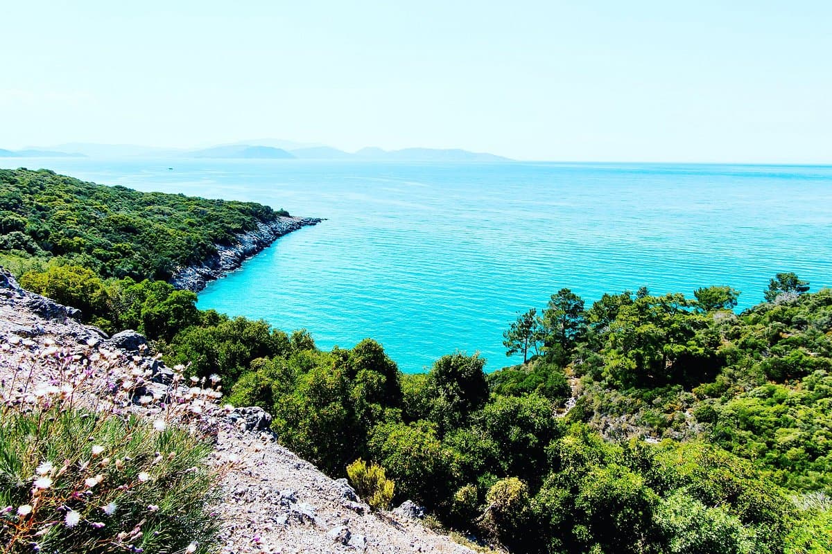 Dilek Peninsula-Büyük Menderes Delta National Park