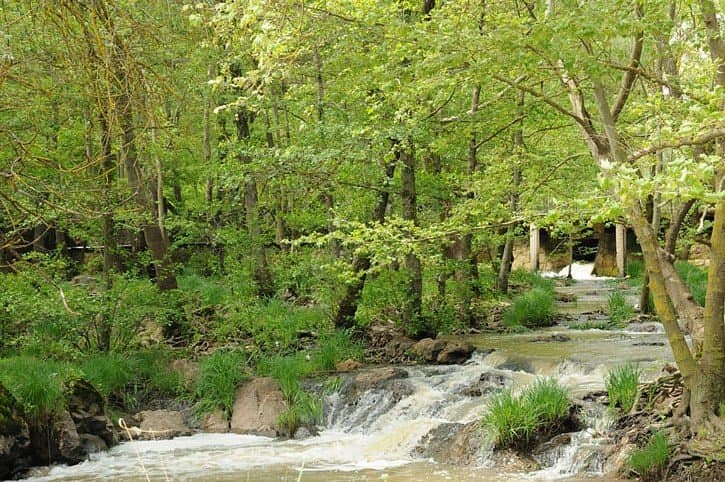 Degirmenbogazi Nature Park