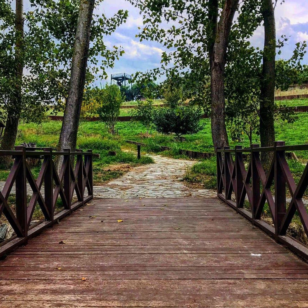 Aktopraklik Hoyuk Archaeological Park and Open-Air Museum