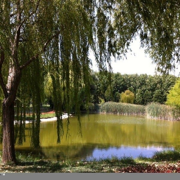 Soğanlı Botanical Park