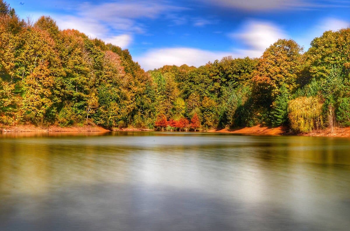 Atatürk Arboretum