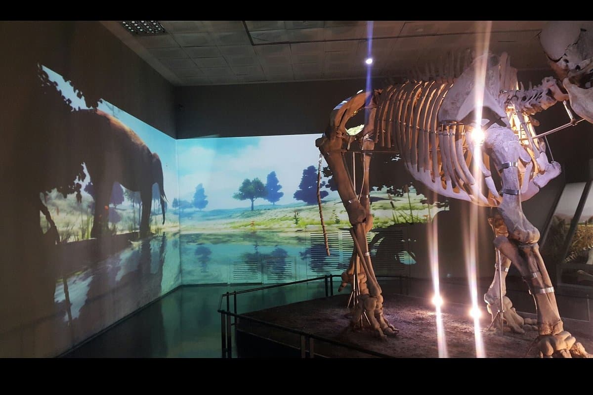 Kahramanmaraş Archaeology Museum