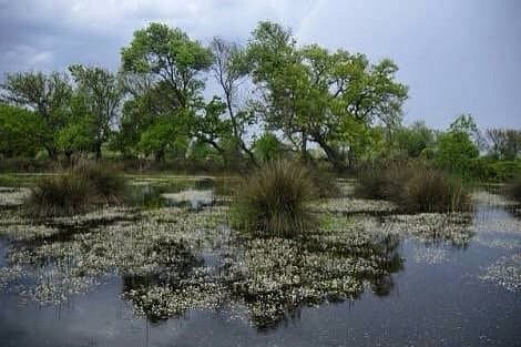 Kocacay Delta