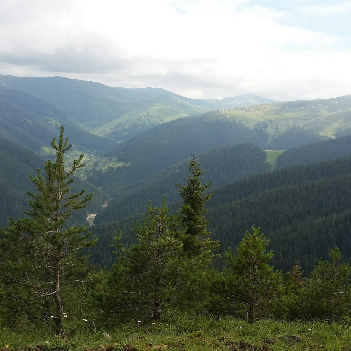 Hacka Plateau