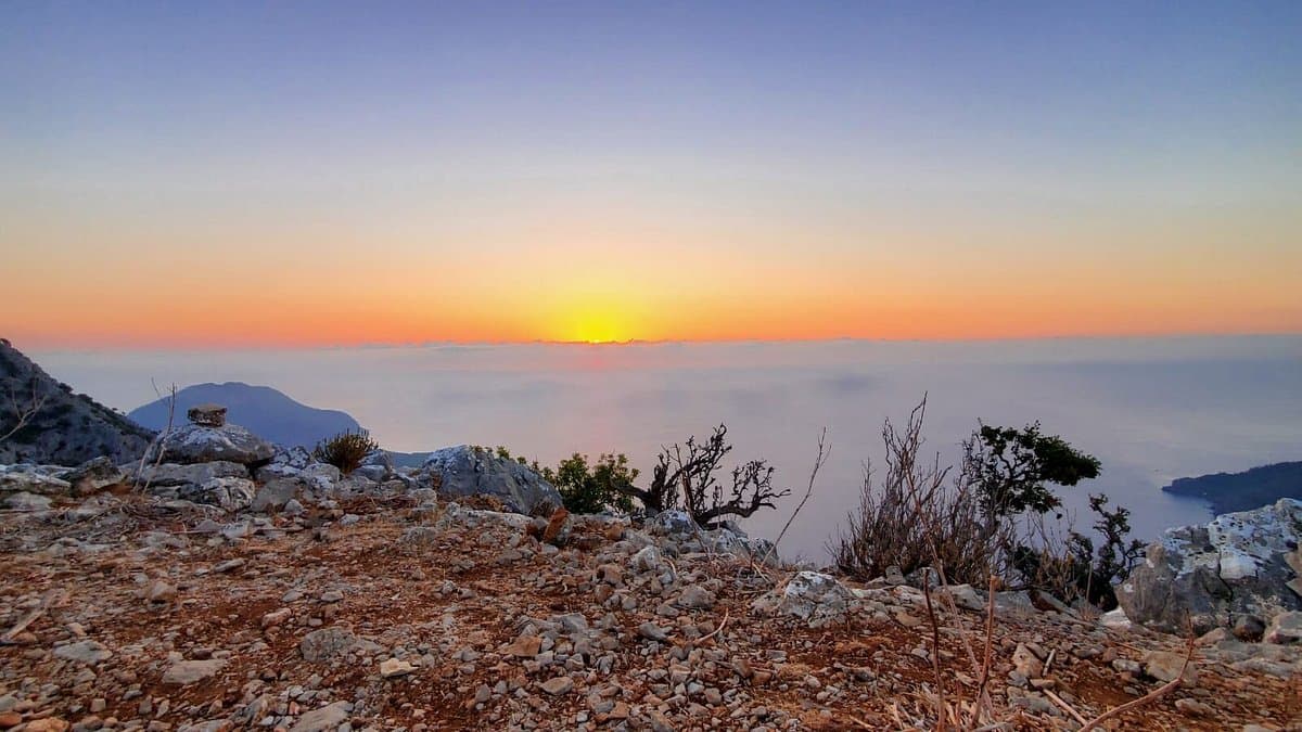 Musa Mountain cover image
