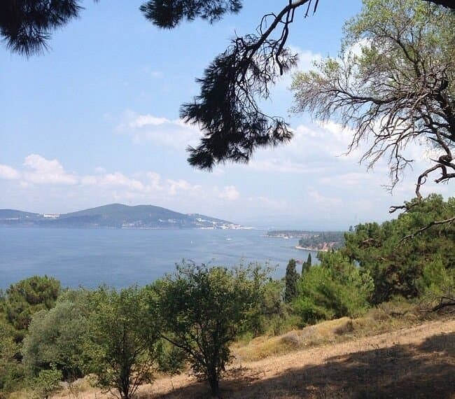 Büyükada Nature Park
