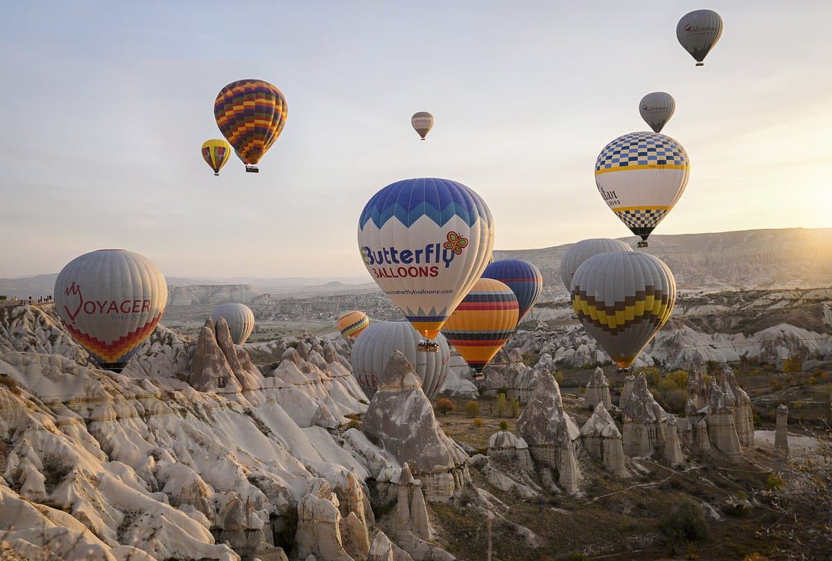 Butterfly Balloons Hot Air Balloon Flights