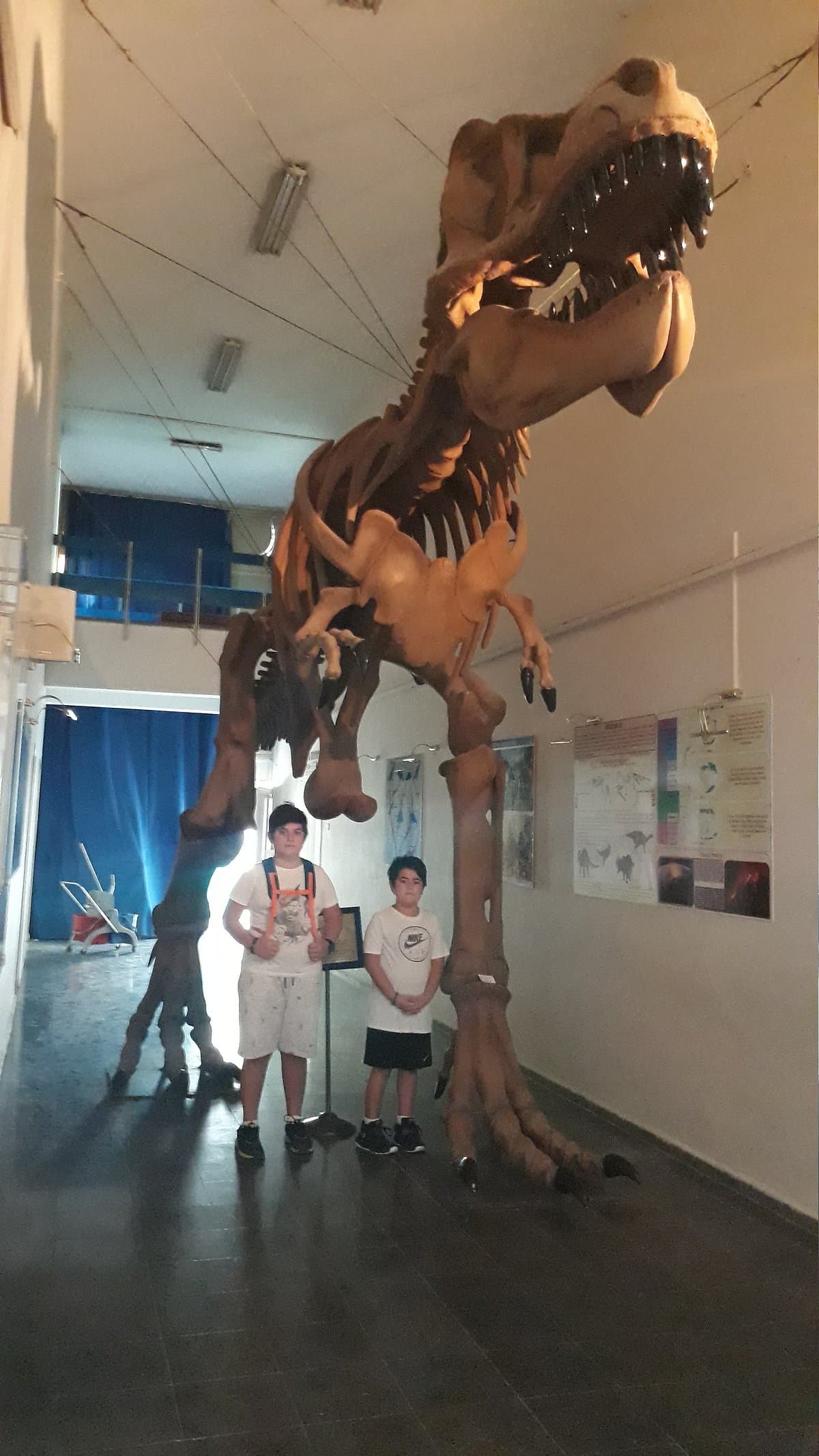 Natural History Museum