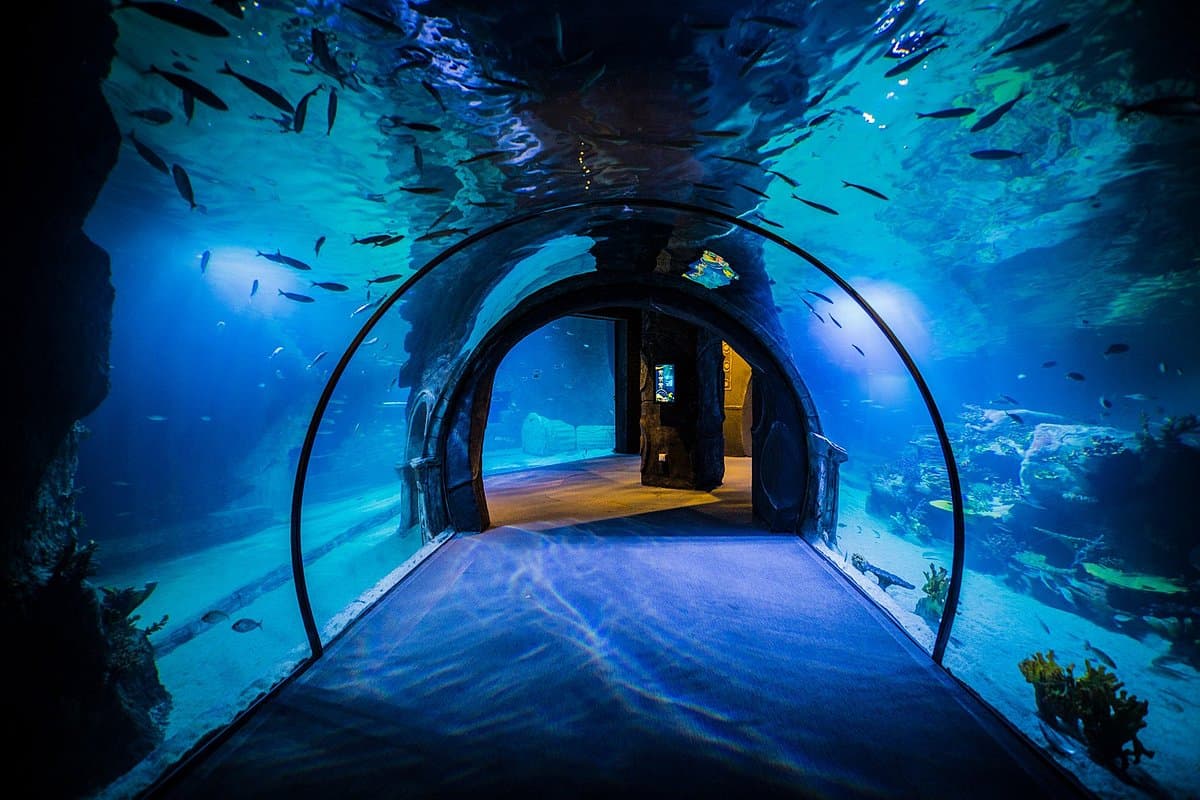 Funtastic Aquarium İzmir