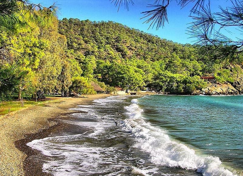Katrancı Bay Nature Park