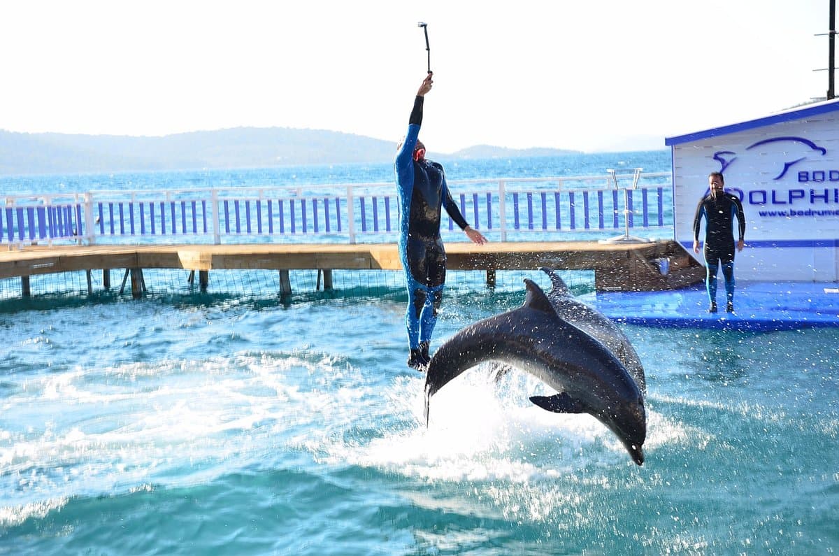 Bodrum Dolphin Park
