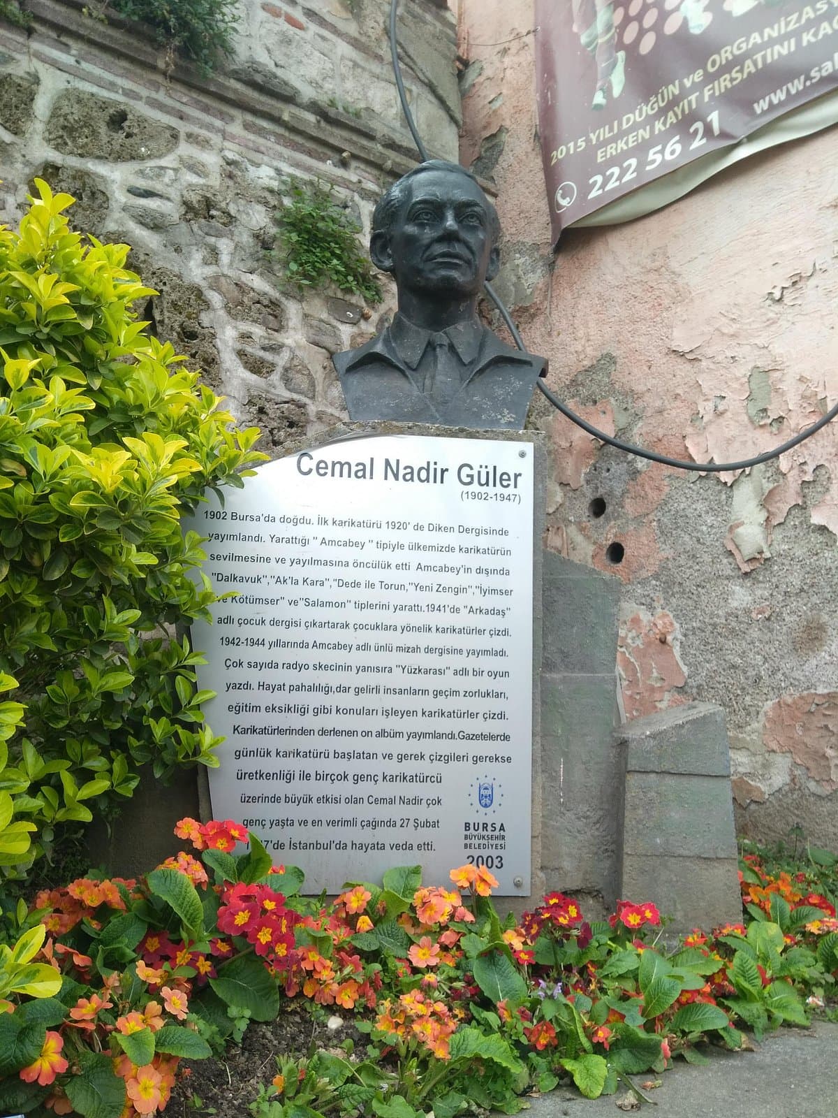 Cemal Nadir Guler cover image