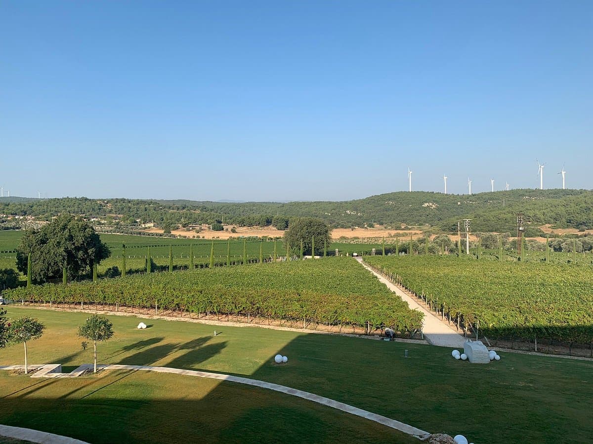 Urla Winery