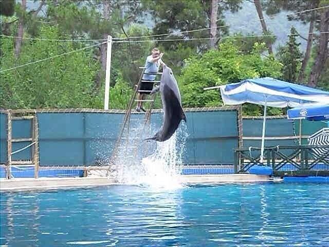 Kemer Dolphin Park