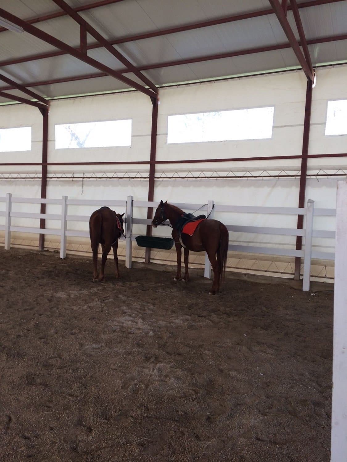 Sultansuyu Horse Farm