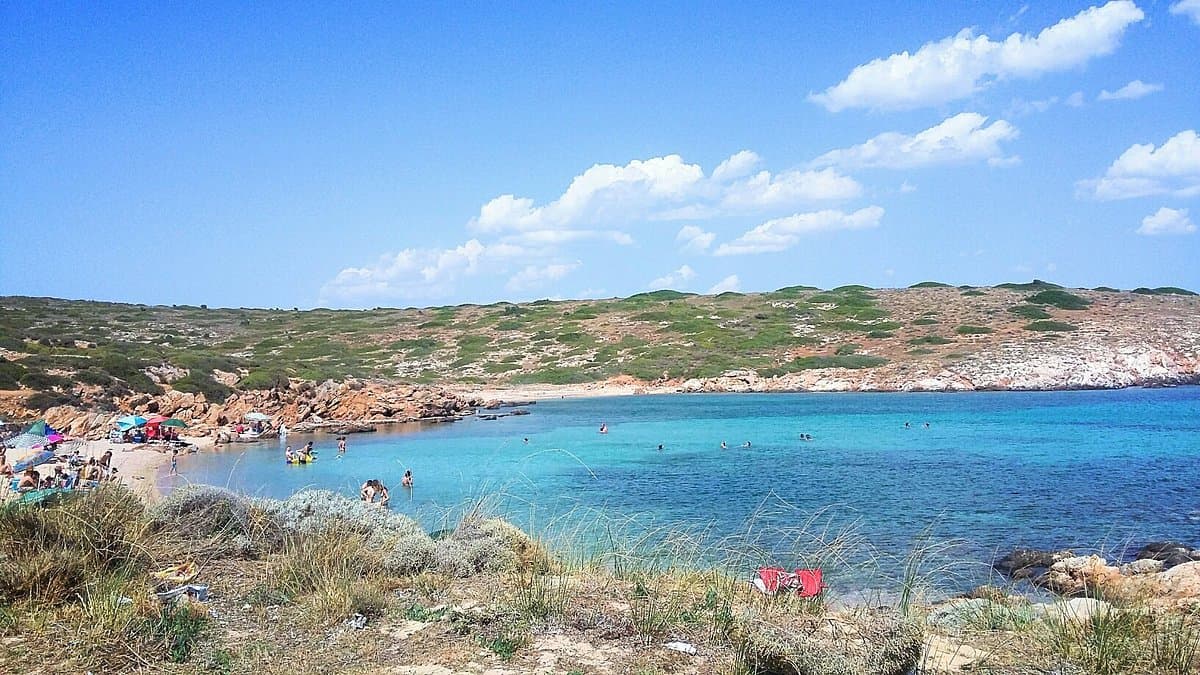 Aquarium Bay