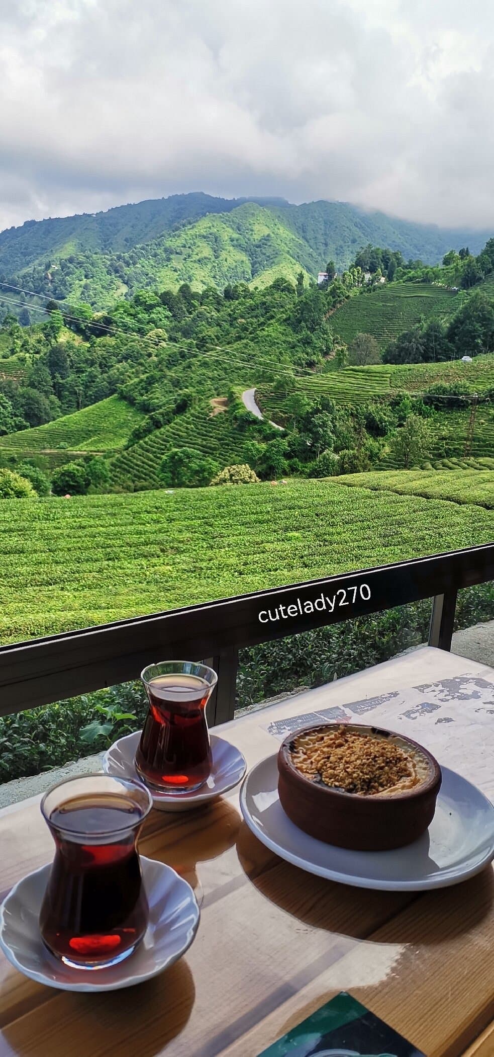 Ceceva Koyu-Haremtepe Tea Gardens
