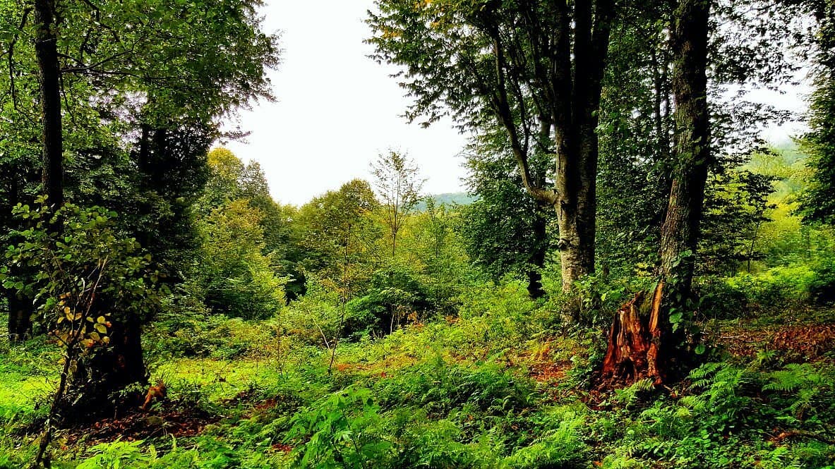 Nebiyan Mountain