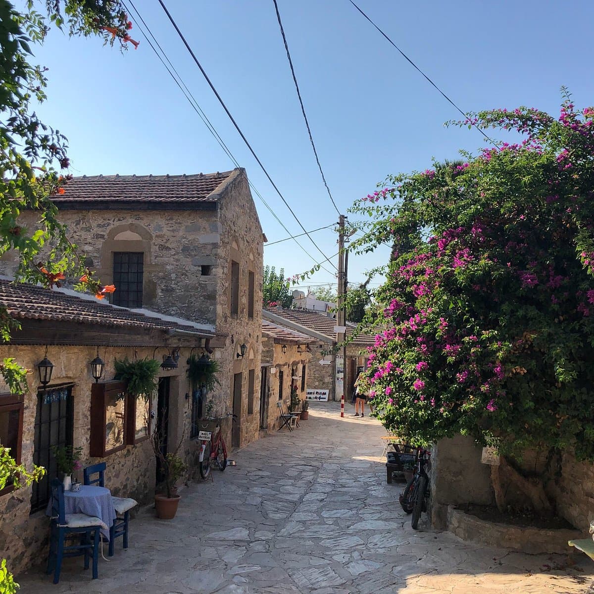 Can Yücel's House