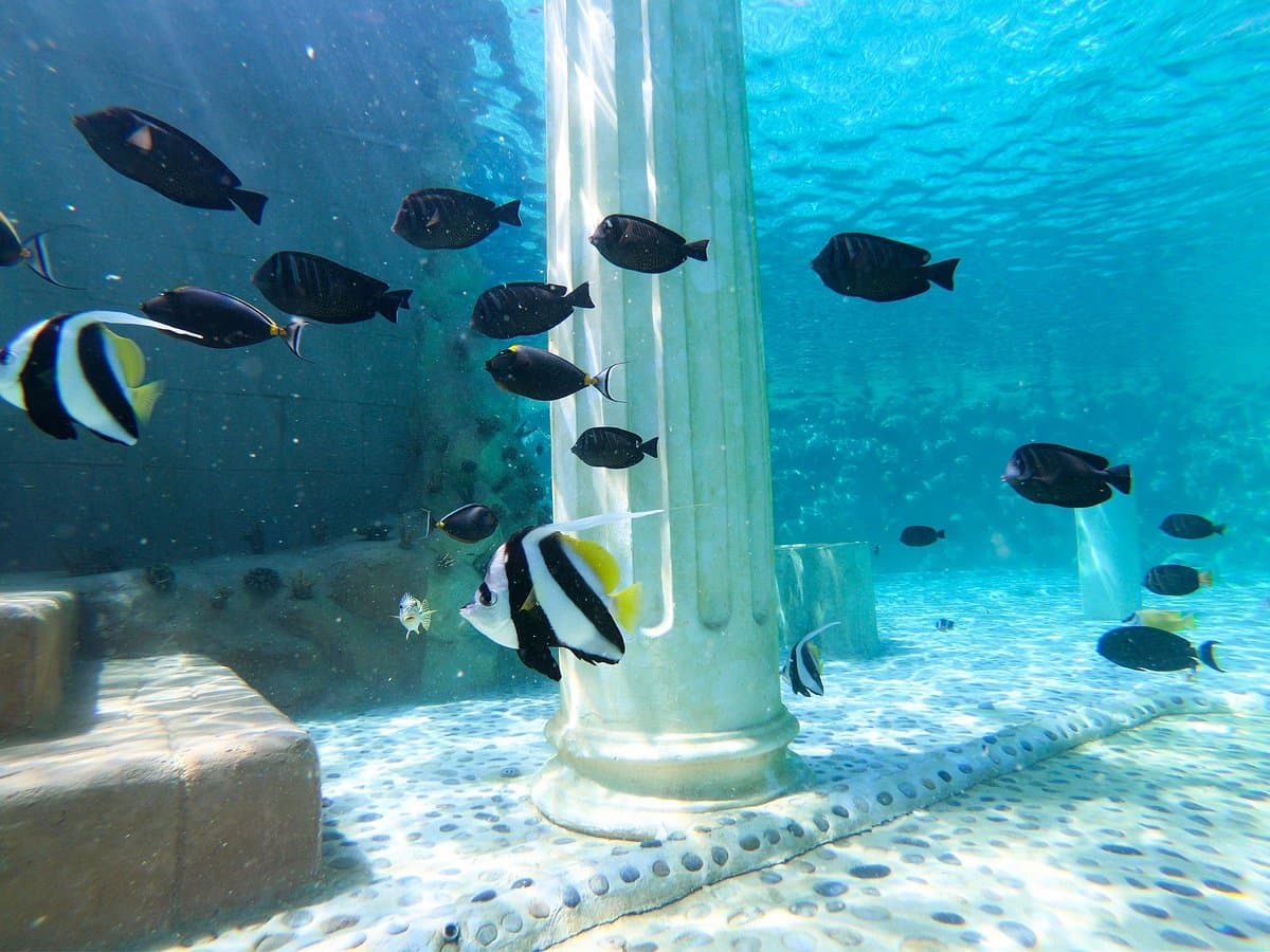 Sealanya Marine Park