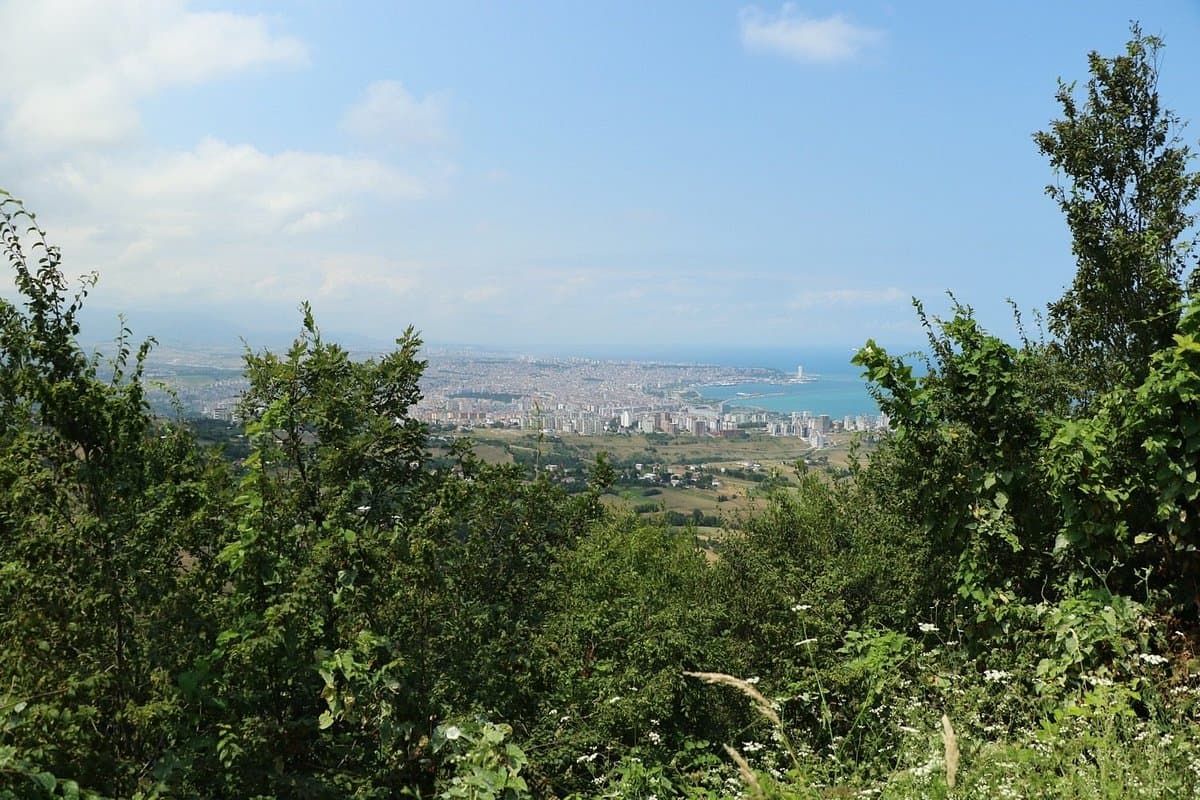Bayrak Tepe Nature Park