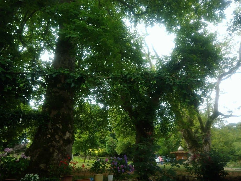 Cumayanı Picnic Area