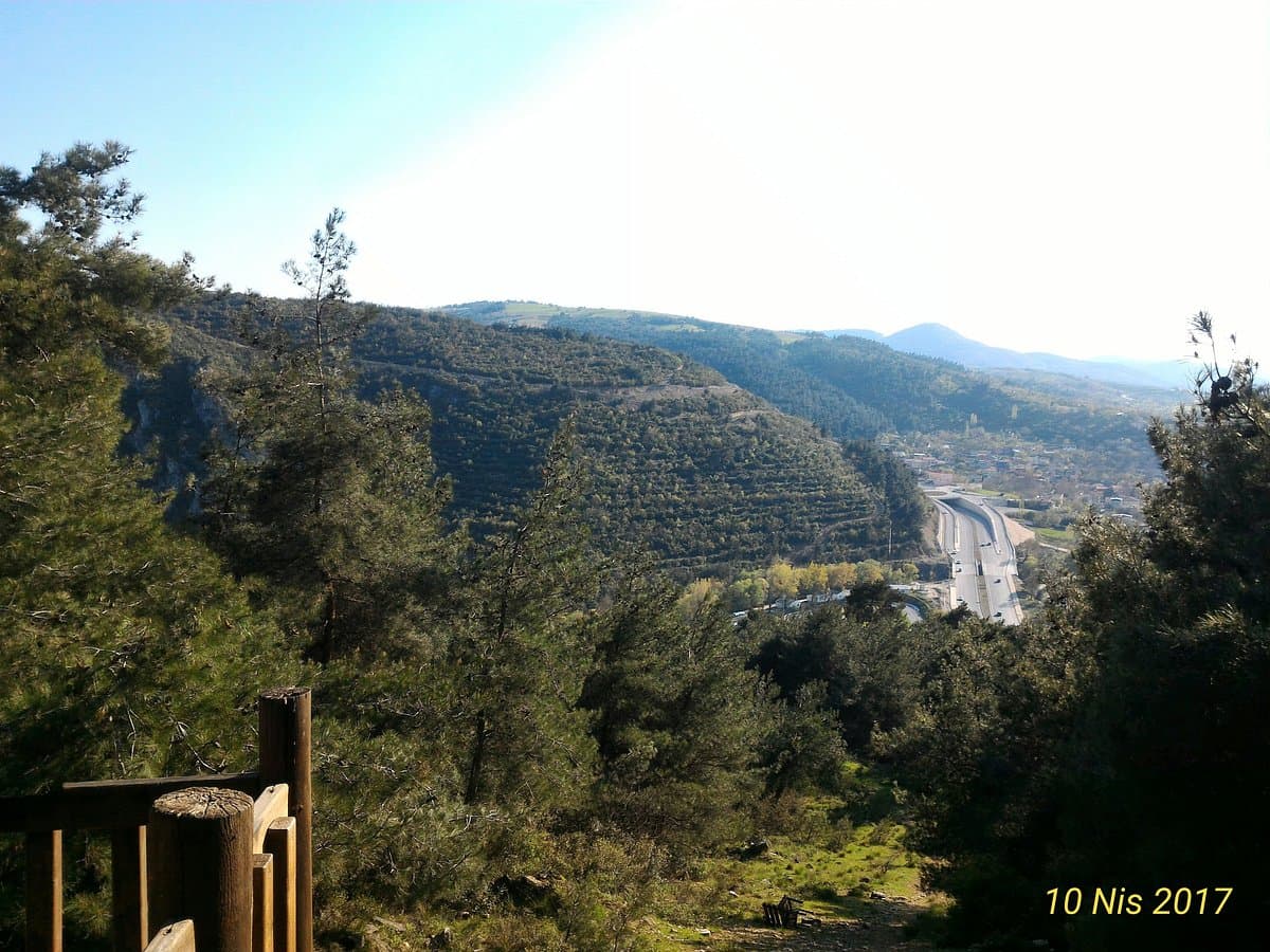 Atatürk City Forest cover image
