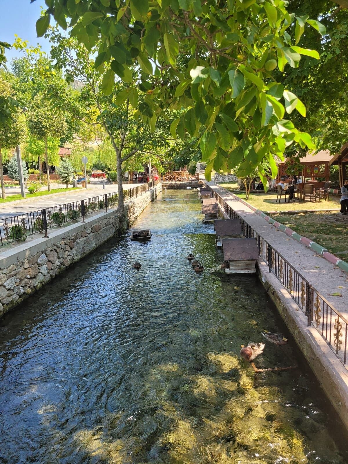 Sucikti Recreation Area