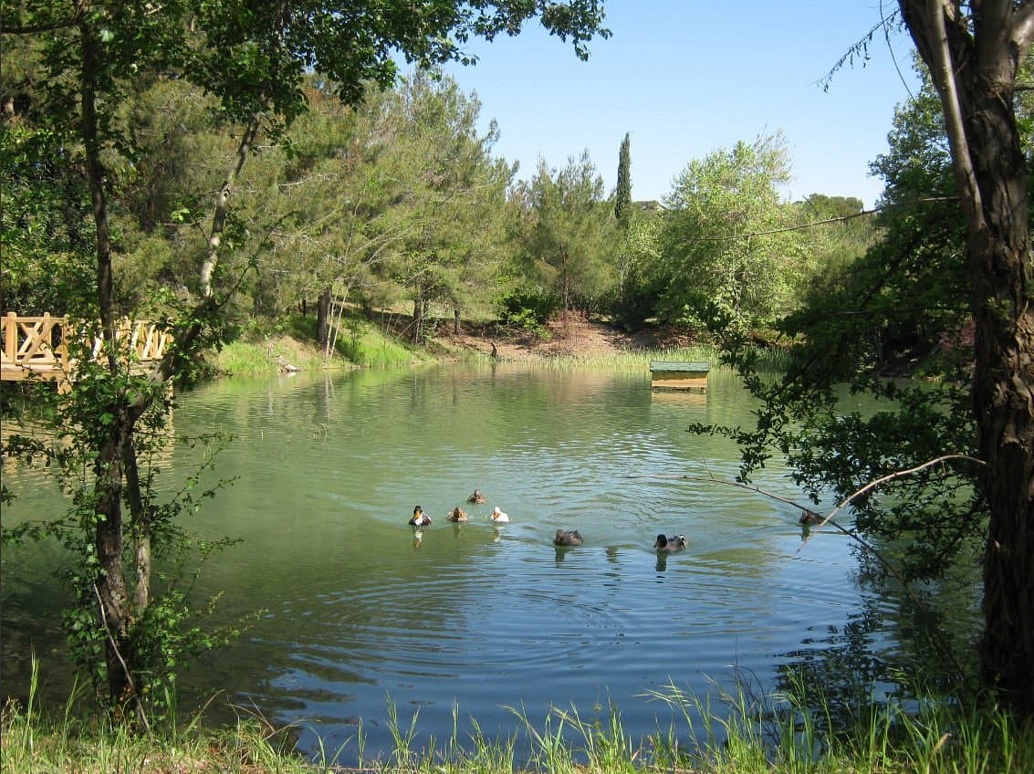 Kapıçam Nature Park