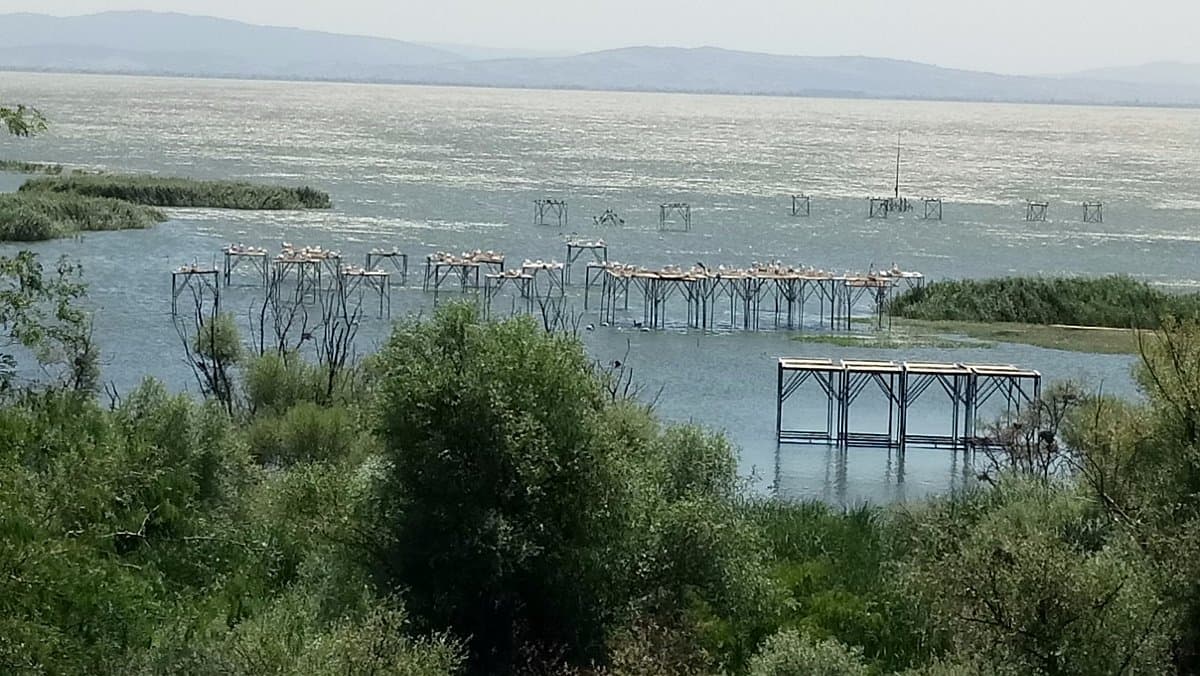 Kuşcenneti National Park