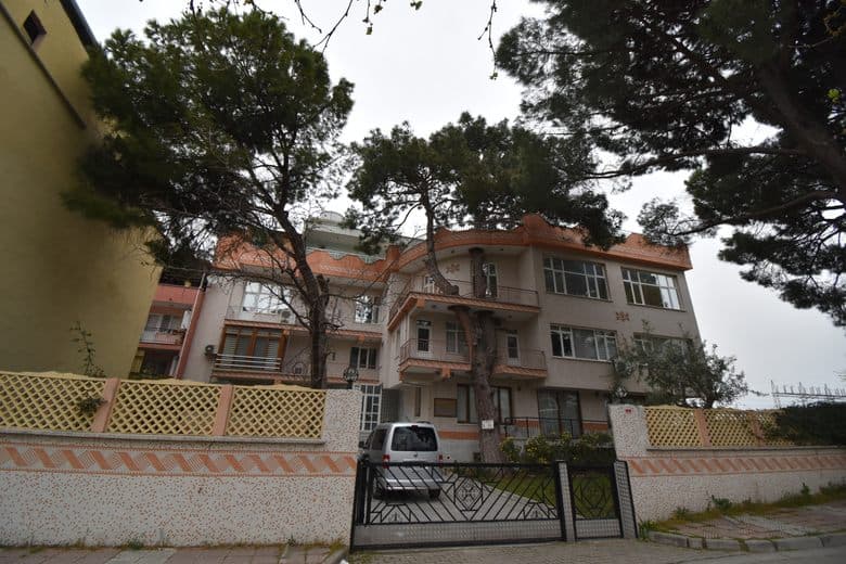 Saruhan Bey Pine Tree