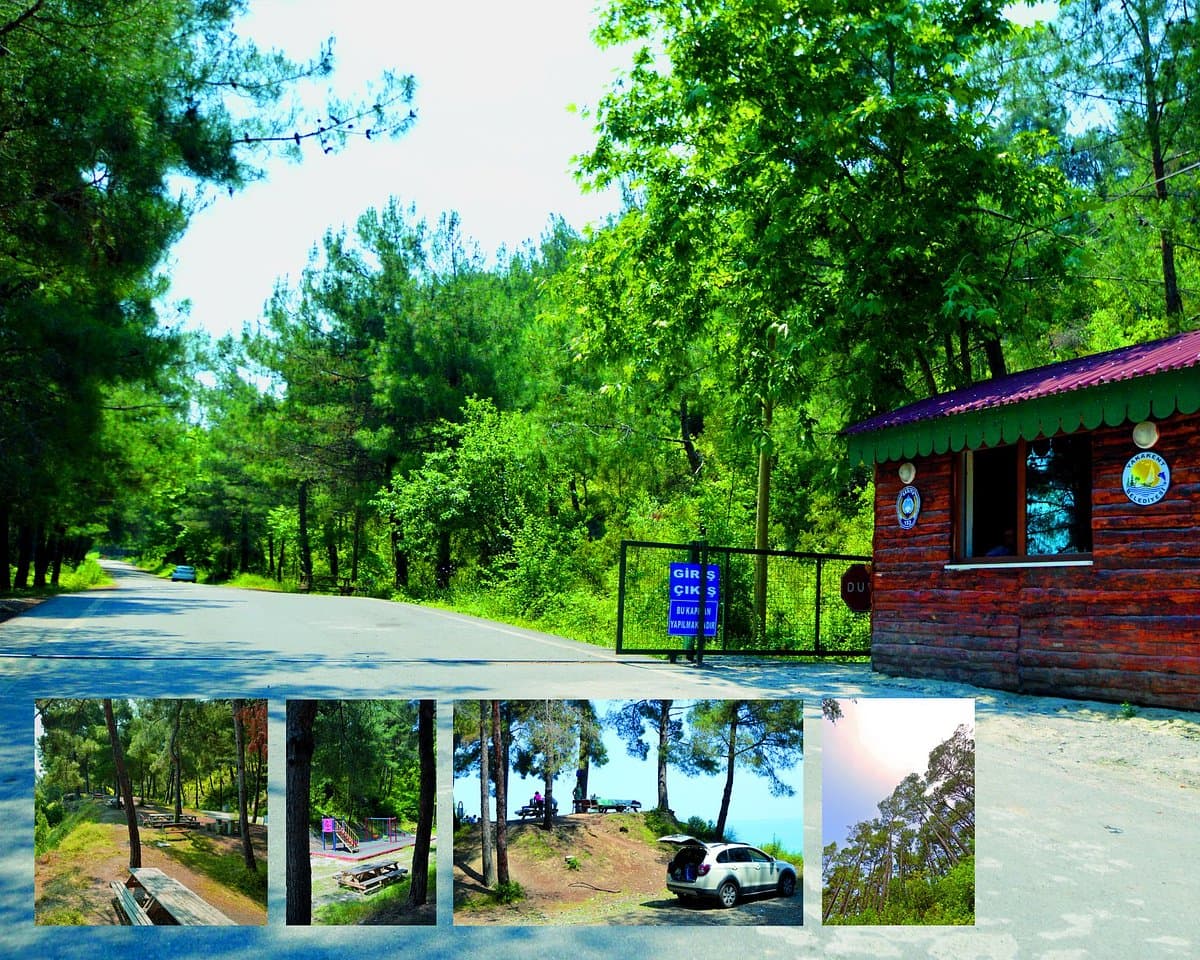 Yakakent Camgolu Picnic Area