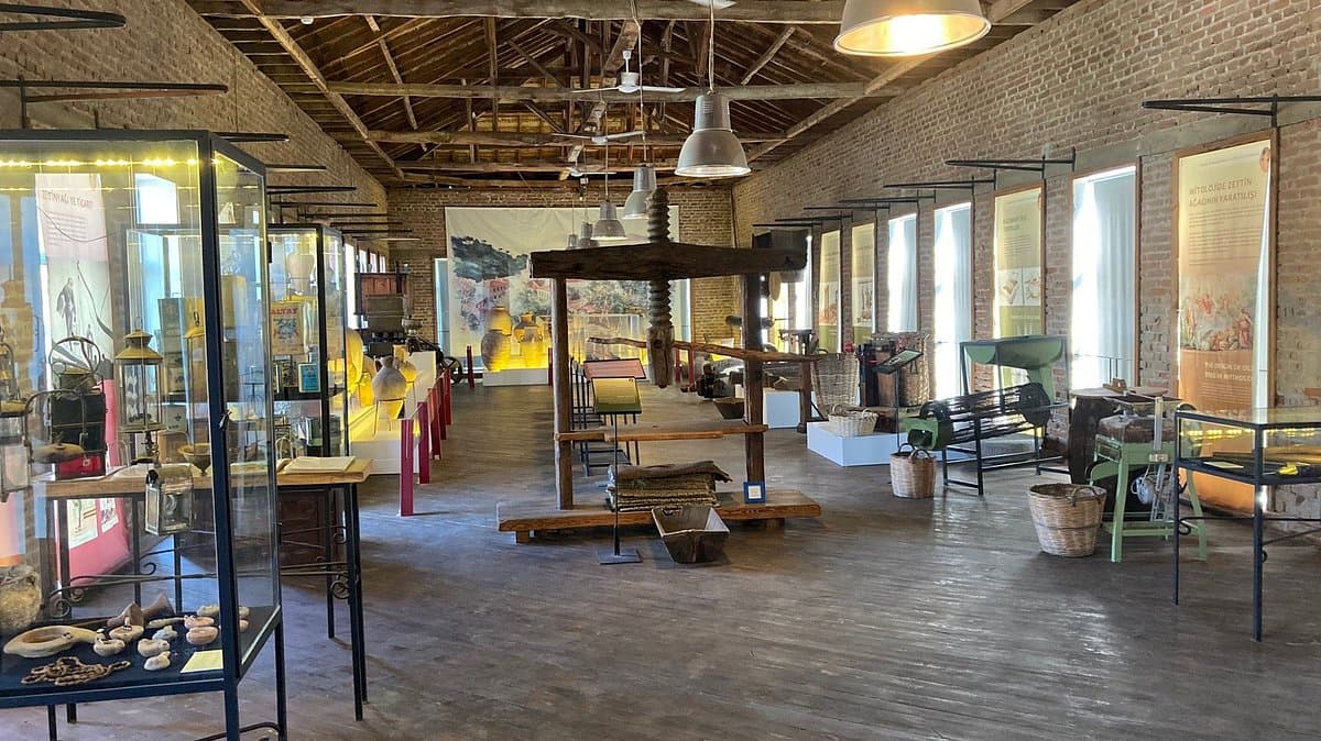 Adatepe Olive Oil Museum
