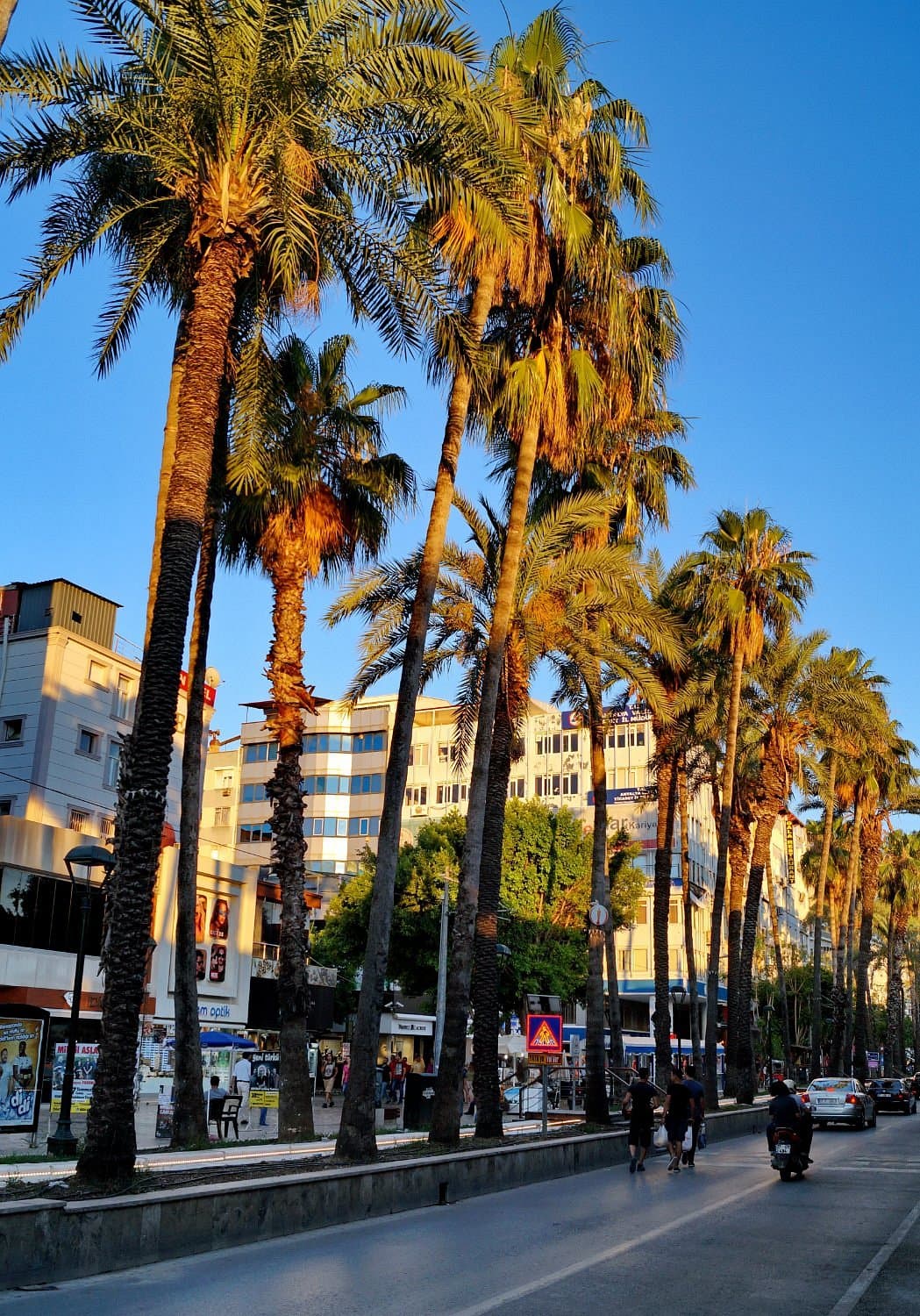 Atatürk Boulevard