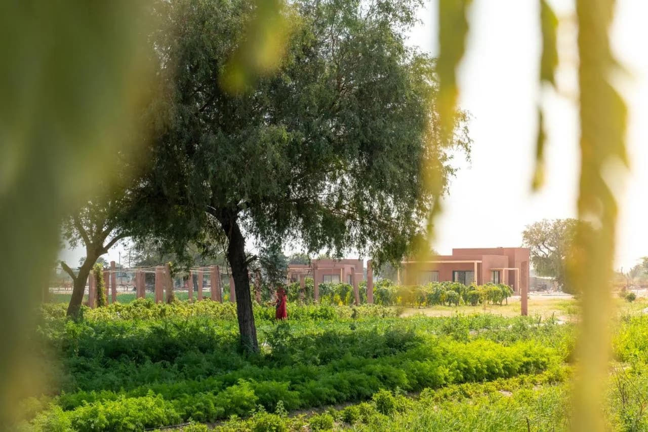 Mharo Khet