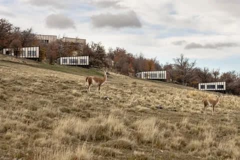 Awasi Patagonia